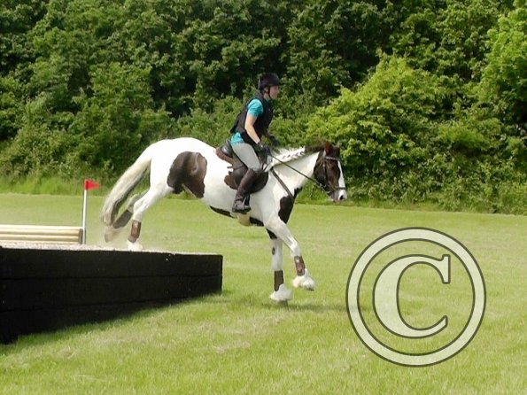 06-05-2016_124841(1)