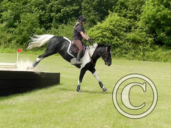 06-05-2016_124841(2) - Copy