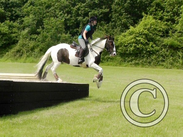 06-05-2016_124841 - Copy