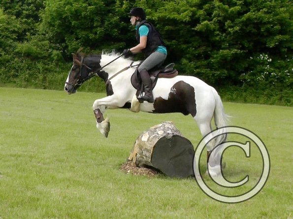 06-05-2016_125315 - Copy