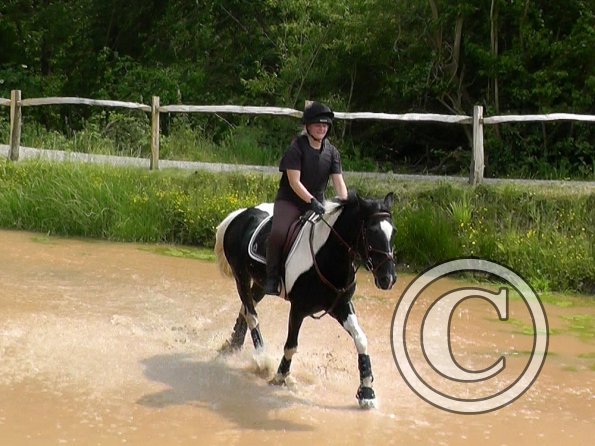 06-05-2016_130143(1)