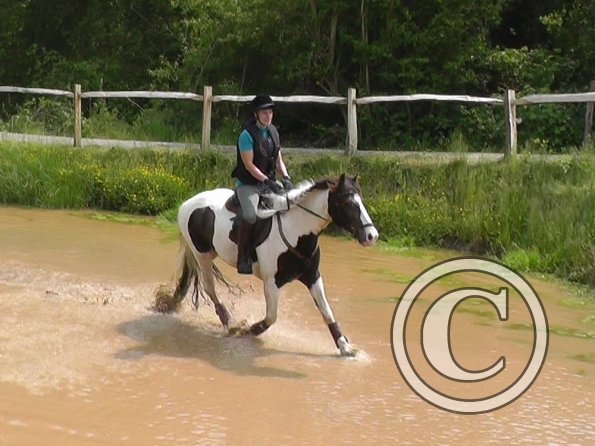 06-05-2016_130143(2) - Copy