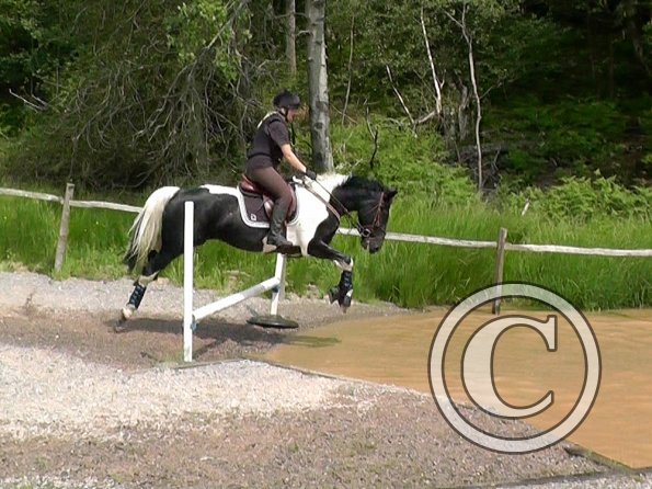 06-05-2016_130314 - Copy