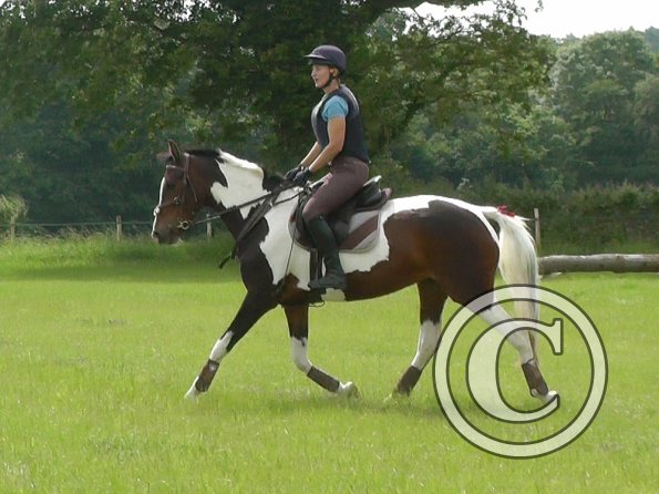 06-19-2016_092826(1)