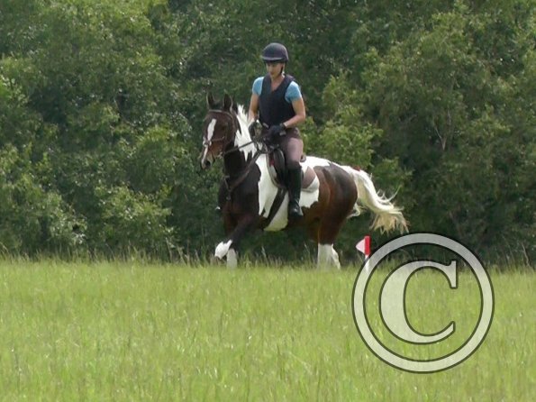 06-19-2016_093544(2)