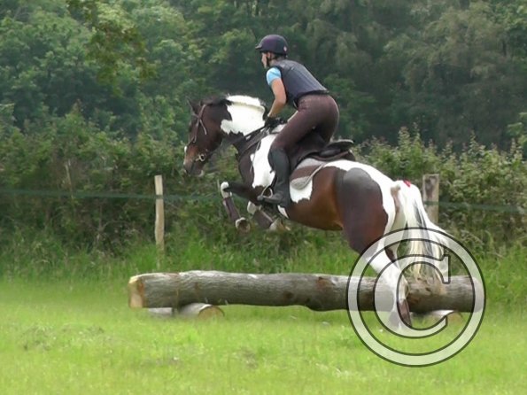 06-19-2016_094014(1)