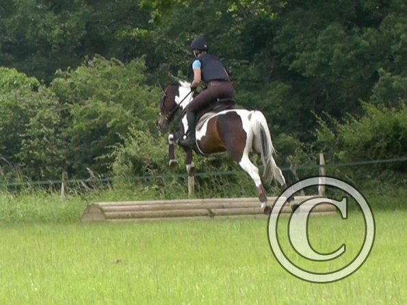 06-19-2016_094014(2)