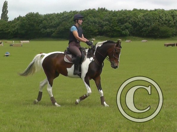 06-19-2016_094334(2)