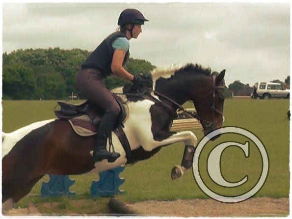 06-19-2016_094334(4)