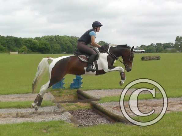 06-19-2016_094334(6)