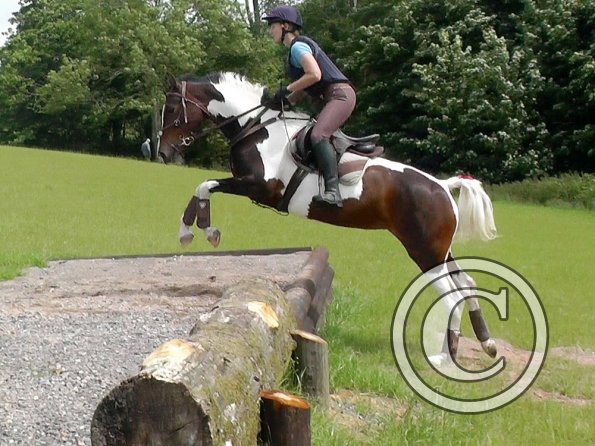 06-19-2016_101432(1)