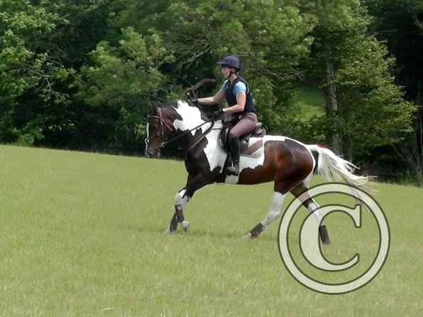 06-19-2016_101626(1)