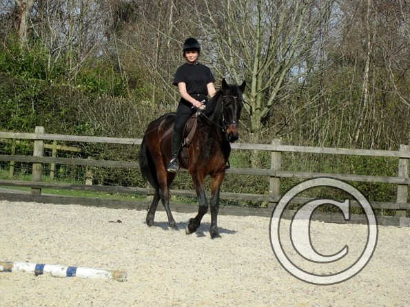 Yas and Leon lesson with Penny (14)