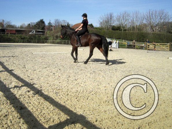 Yas and Leon lesson with Penny (15)