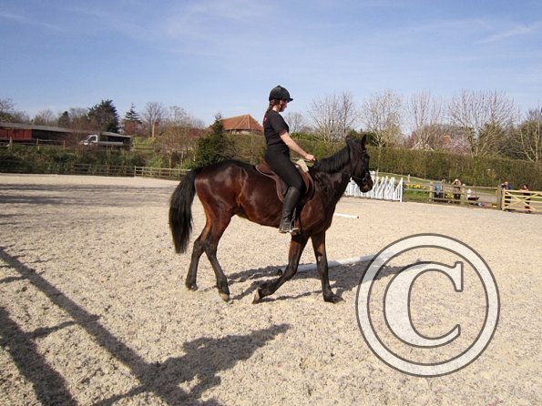 Yas and Leon lesson with Penny (16)