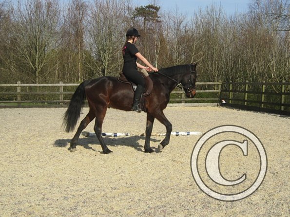 Yas and Leon lesson with Penny (18)