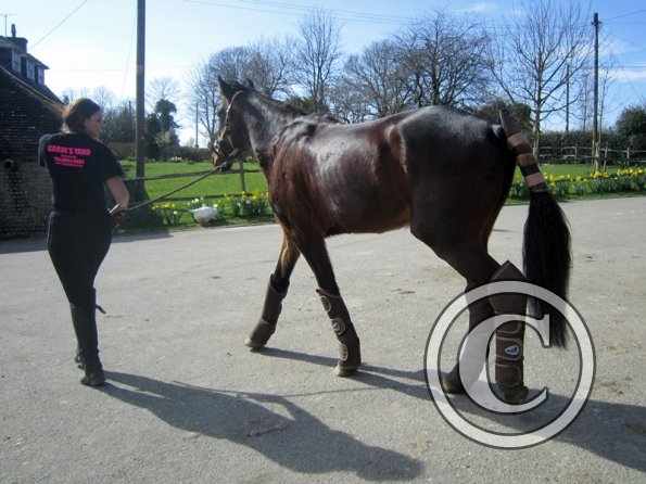 Yas and Leon lesson with Penny (2)