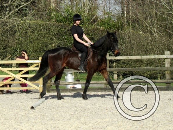 Yas and Leon lesson with Penny (23)