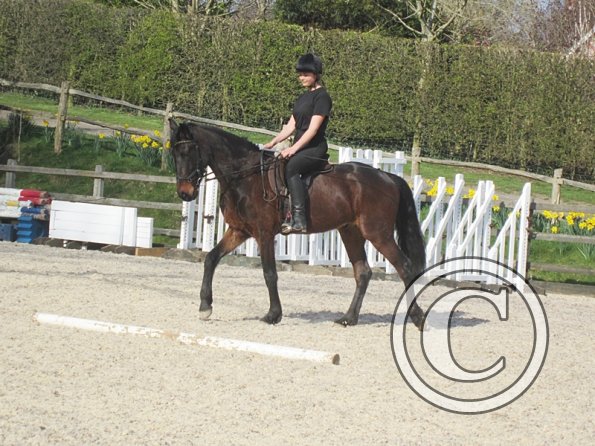 Yas and Leon lesson with Penny (28)