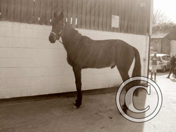 Yas and Leon lesson with Penny (3)