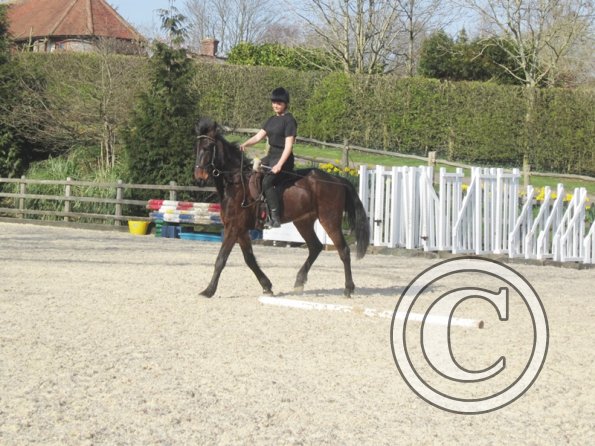 Yas and Leon lesson with Penny (30)