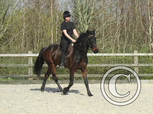 Yas and Leon lesson with Penny (32)