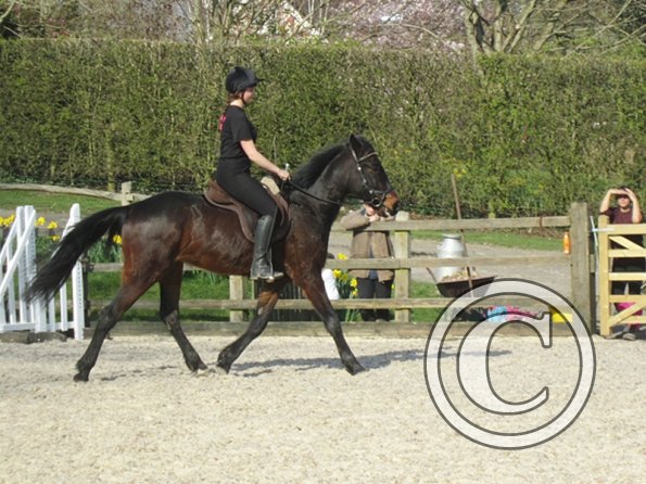 Yas and Leon lesson with Penny (34)