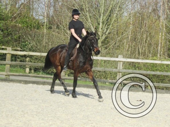 Yas and Leon lesson with Penny (35)