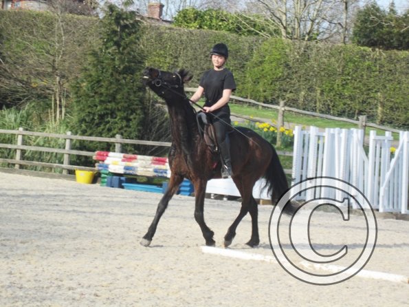 Yas and Leon lesson with Penny (39)