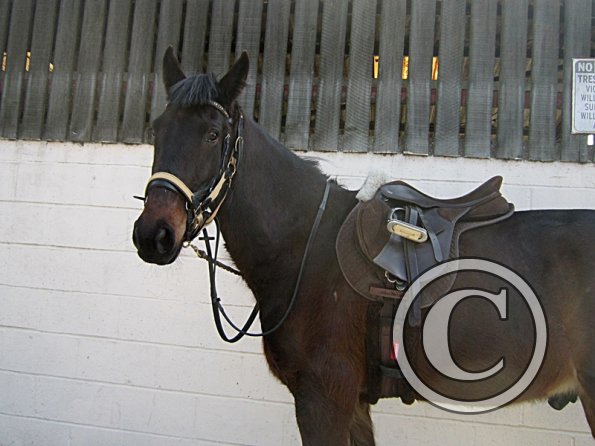 Yas and Leon lesson with Penny (4)