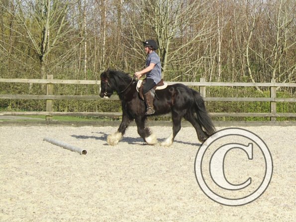 Yas and Leon lesson with Penny (42)