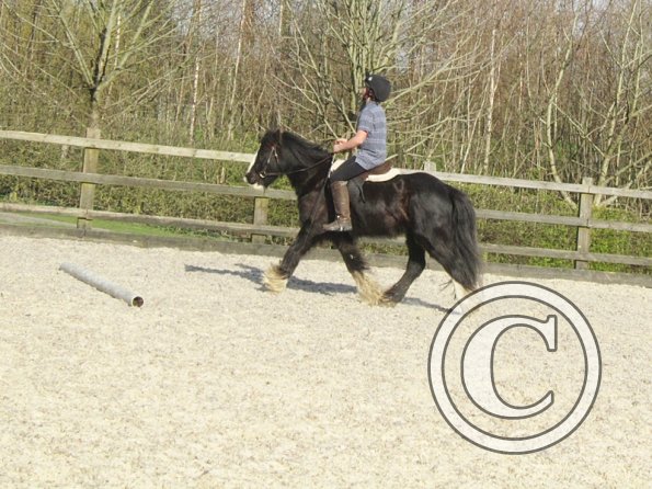 Yas and Leon lesson with Penny (43)