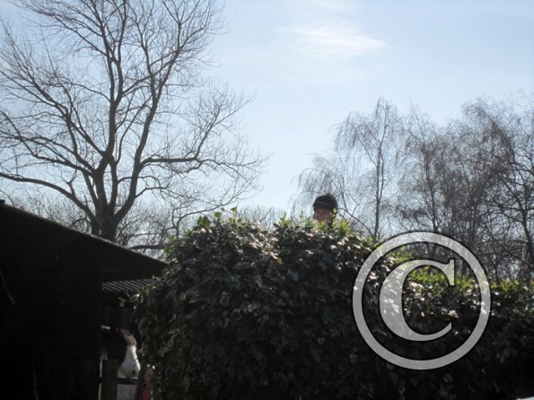 Yas and Leon lesson with Penny (5)