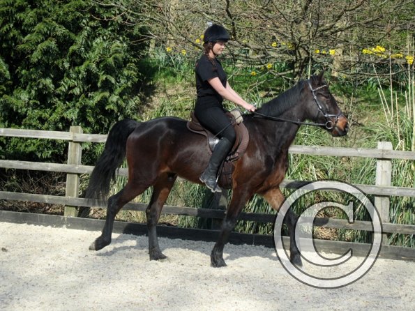 Yas and Leon lesson with Penny (6)