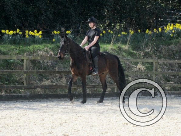 Yas and Leon lesson with Penny (8)