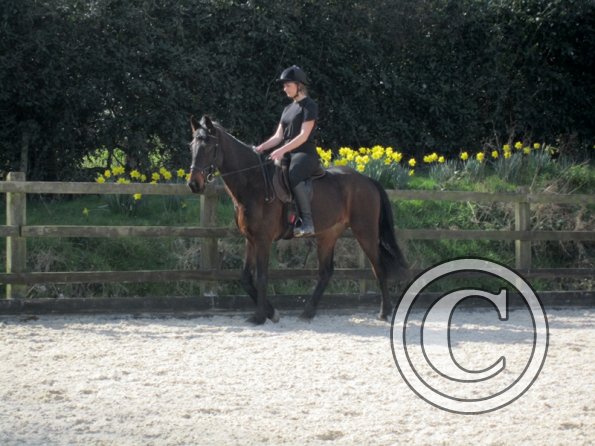 Yas and Leon lesson with Penny (9)
