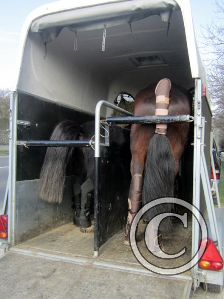 Yas and Leon lesson with Penny