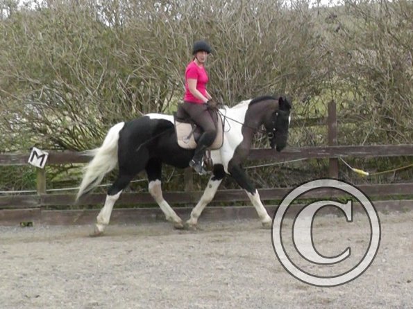 Lesson with Alison (10)