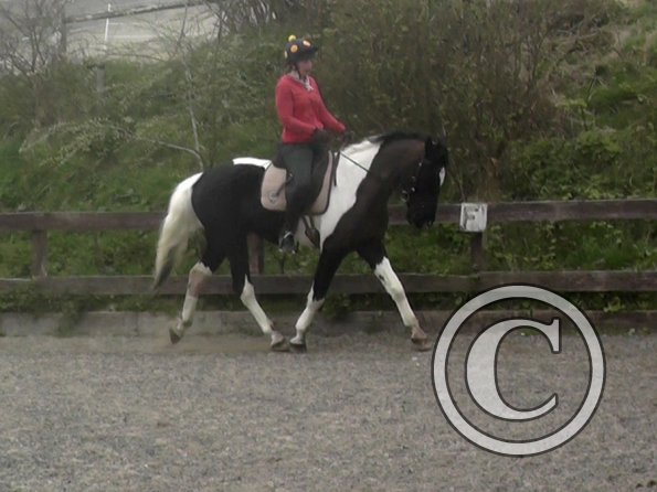 Lesson with Alison (2)