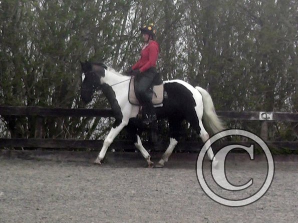 Lesson with Alison (4)