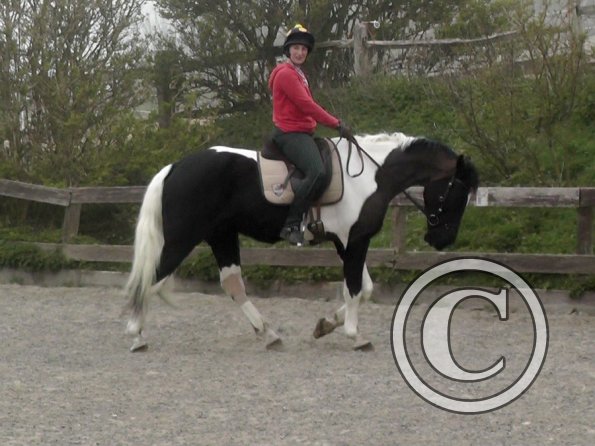 Lesson with Alison (5)