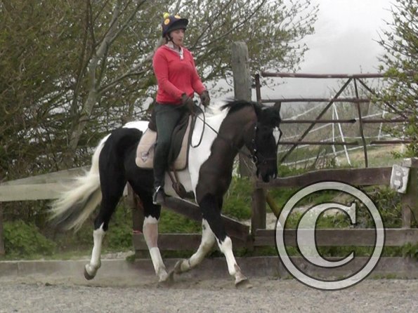 Lesson with Alison (6)