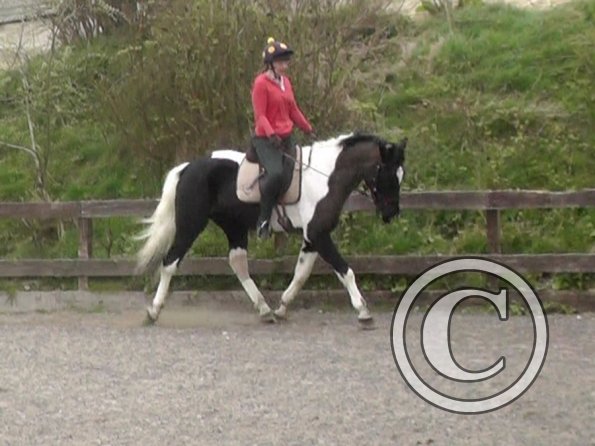 Lesson with Alison (7)