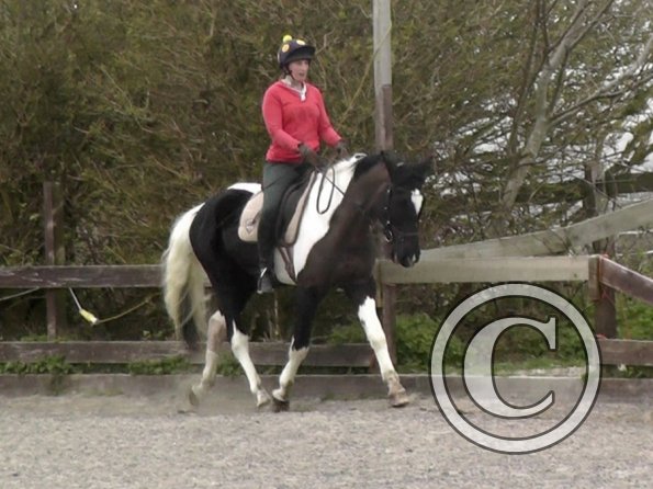 Lesson with Alison (8)