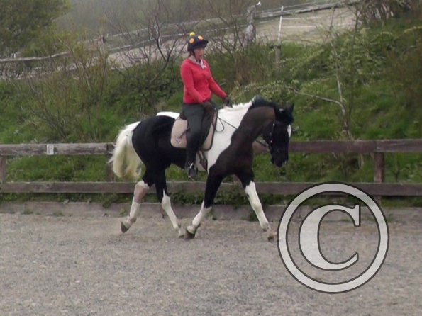 Lesson with Alison (9)