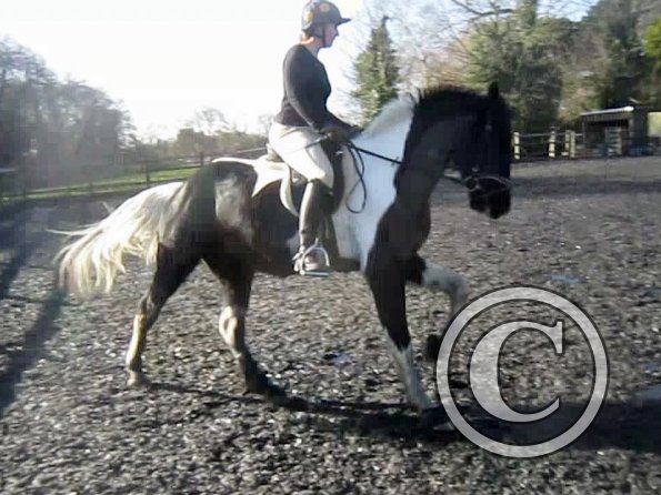 Anna lesson on JD (10)