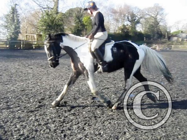 Anna lesson on JD (3)