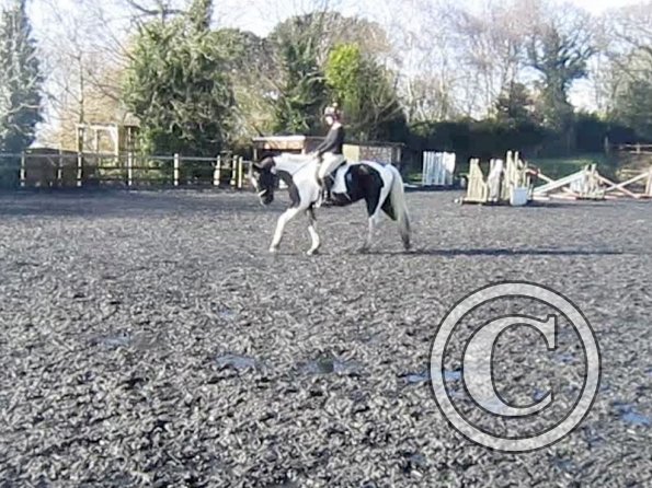 Anna lesson on JD (4)