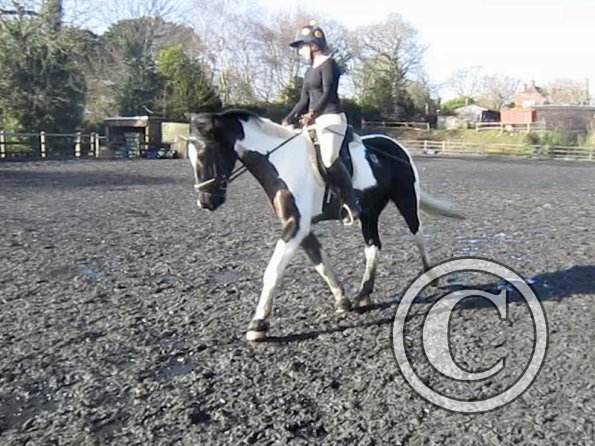 Anna lesson on JD (6)