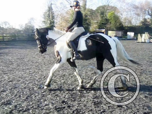 Anna lesson on JD (7)